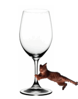 a cat is playing with a wine glass with a white background