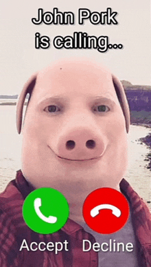 a picture of a man with a pig mask on his face and the words john pork is calling accept decline on the bottom