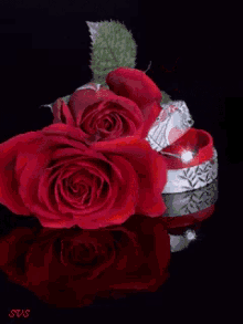 a couple of red roses sitting on top of a box with a ring in it