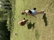 a woman standing next to a brown cow in a grassy field