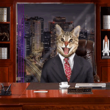 a cat with a suit and tie is sitting at a desk