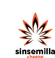 a logo for sinsemilla cheese with a marijuana leaf in the center