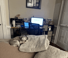 a dog is laying on a pillow in front of a computer desk