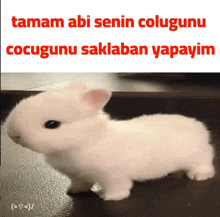 a small white rabbit is standing on a table with the words tamam abi senin colugunu cocugumu saklaban yapayim