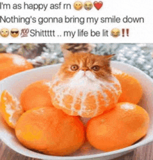 a cat is sitting in a bowl of oranges with a caption .