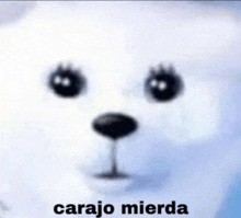 a close up of a white teddy bear 's face with the words `` carajo mierda '' written on it .