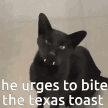 a picture of a black cat with the words he urges to bite the texas toast below it