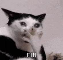 a black and white cat is covering its nose with its paw and says `` fbi '' .