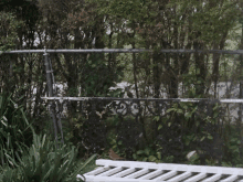 a bird sits on a white bench near a fence