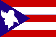 a red white and blue flag with a silhouette of a bird on it