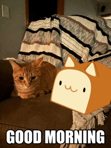 a cat is laying on a couch with a good morning message