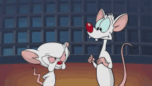 pinky and the brain standing next to each other with a building in the background