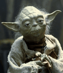 a close up of a yoda character with a blanket around his neck