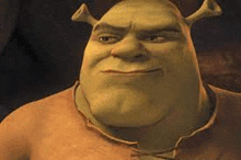 shrek is smiling and looking at the camera .