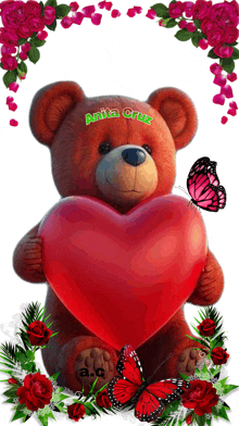 a teddy bear with the name anita cruz on it holding a heart