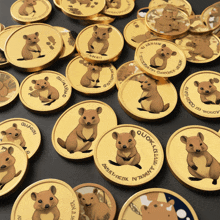 a bunch of gold coins with a picture of a chipmunk on them