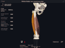 a computer screen shows a skeleton and muscles and says " motion mode " at the top