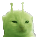 a close up of a green cat with antennas on its head on a white background .