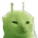 a close up of a green cat with antennas on its head on a white background .