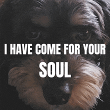 a picture of a dog with the words i have come for your soul below it