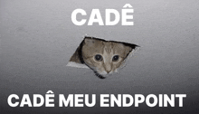 a cat is sticking its head out of a hole in the wall with the words cade meu endpoint below it