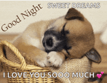 a puppy sleeping in a wicker basket with the words good night sweet dreams i love you sooo much