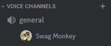 a screenshot of a voice channel with the name swag monkey on it