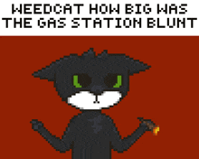 a pixel art of a black cat with the words weedcat how big was the gas station blunt on the bottom