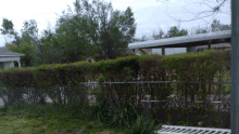 a backyard with a fence and a carport