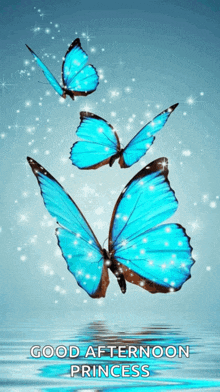 a good afternoon princess greeting card with three blue butterflies on a blue background