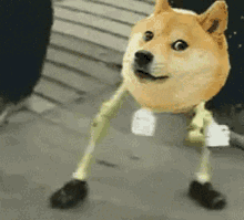 a doge with skeleton arms and legs is standing on the ground .