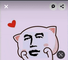 a picture of a cat with a face drawn on it and a heart above it