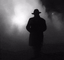 a silhouette of a man in a hat and coat standing in a foggy room .