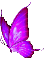 a purple butterfly with a white background is flying in the air