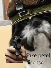 a person holding a gun in front of a dog that says fake peter license on the bottom