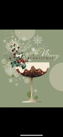 a christmas card with a christmas pudding in a wine glass and the words merry christmas