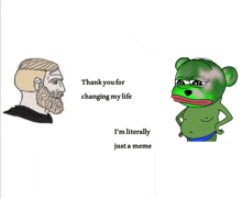 a man with a beard is talking to a sad frog that says " thank you for changing my life "