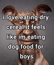 a picture of a dog with the words i love eating dry cereal it feels like im eating dog food for boys written below it