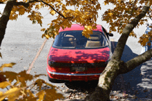 a red buick car is parked under a tree in a parking lot