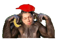 a monkey wearing a red hat and holding a banana on its back