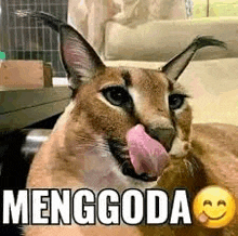 a close up of a cat sticking its tongue out with the words menggoda written on it .