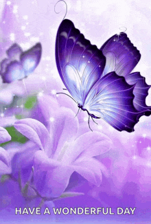 a purple butterfly is on a purple flower with the words have a wonderful day