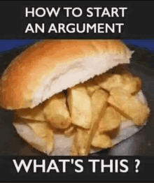 how to start an argument what 's this ? a sandwich filled with french fries on a bun .