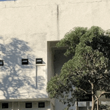 a building with a tree in front of it