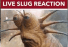 a picture of a slug with a live slug reaction written on it