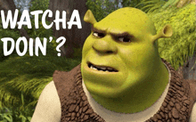 shrek with the words watcha doin ' written on the bottom