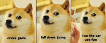 three images of a doge with the words crave gave fall down jump and iun the car uet fun