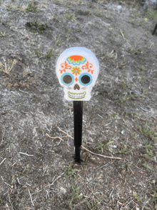 a day of the dead skull on a stake