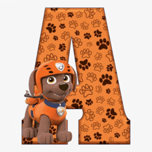 an orange letter a with paw prints on it and a dog on it