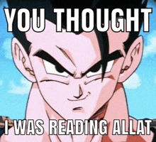 a picture of a dragon ball z character with the words you thought i was reading allat